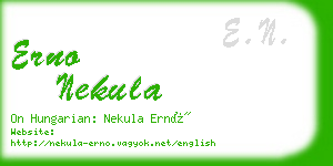 erno nekula business card